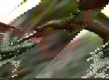 运动传感器技术开发