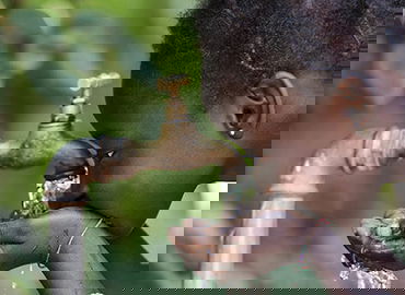 运动员职业规划服务